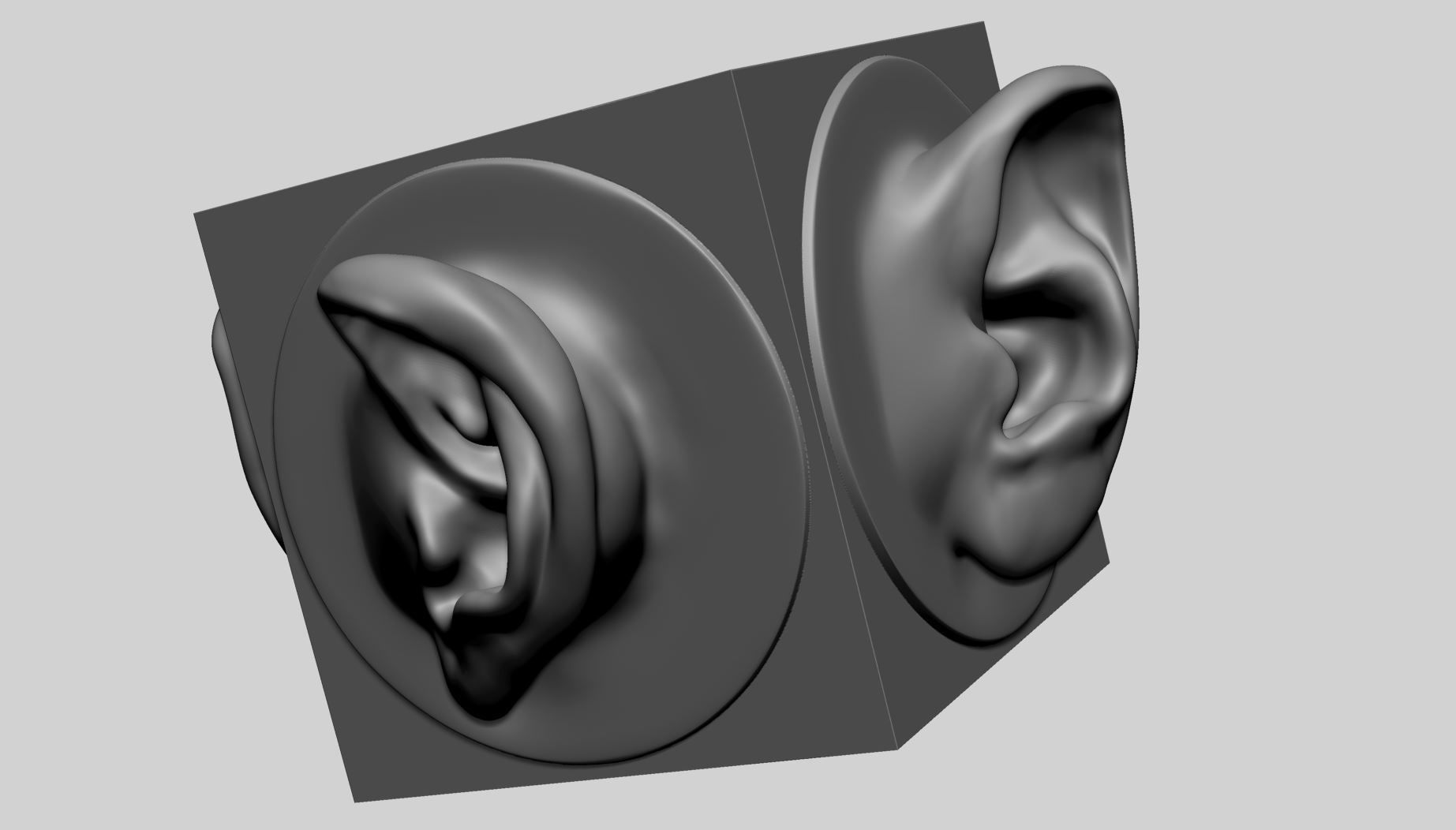 Ear models for 3DPrint 3D print model_8