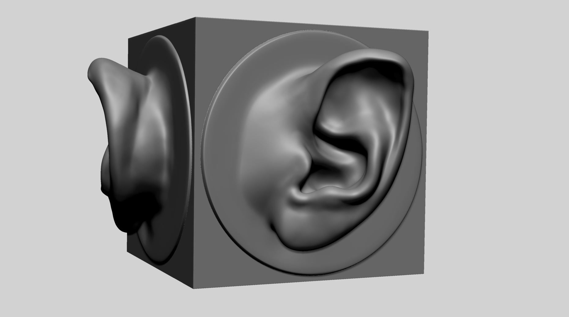 Ear models for 3DPrint 3D print model_1