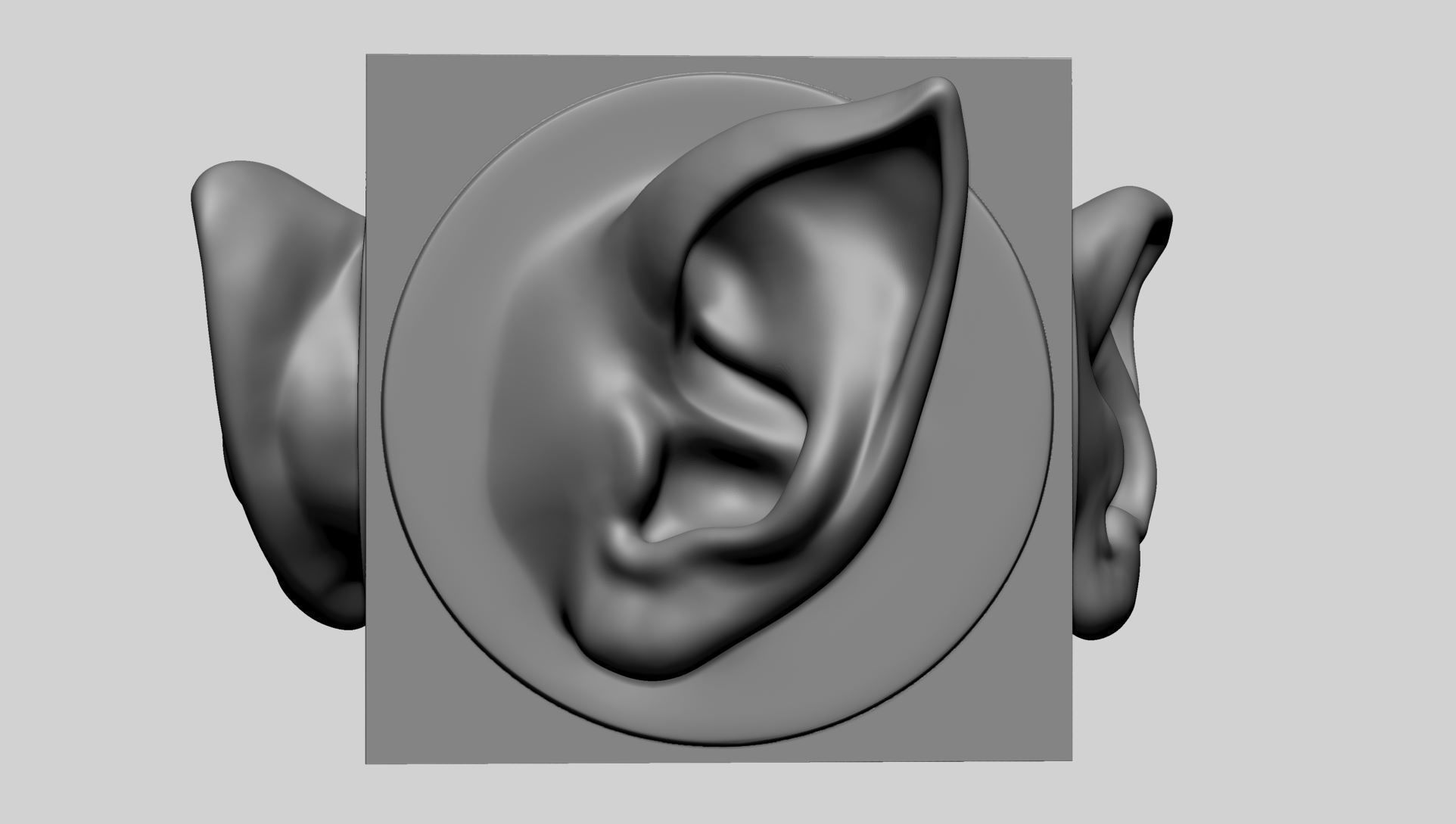 Ear models for 3DPrint 3D print model_4