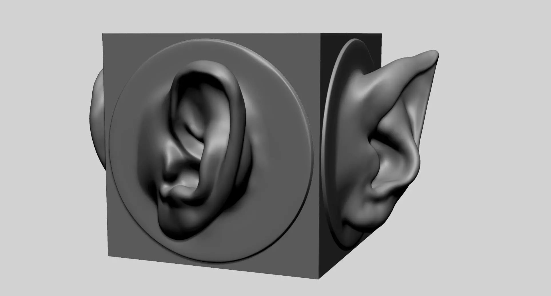 Ear models for 3DPrint 3D print model_0