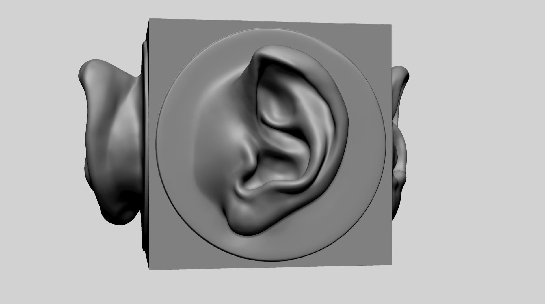 Ear models for 3DPrint 3D print model_2