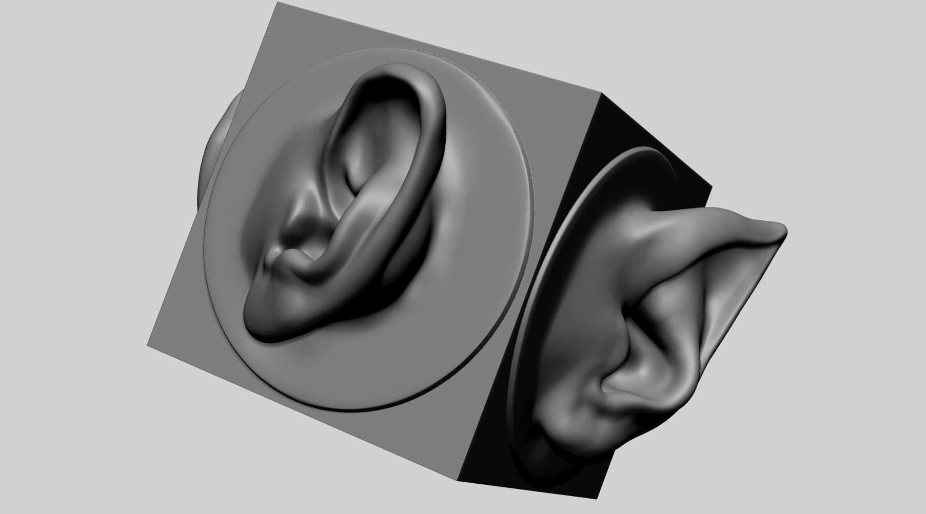 Ear models for 3DPrint 3D print model_6
