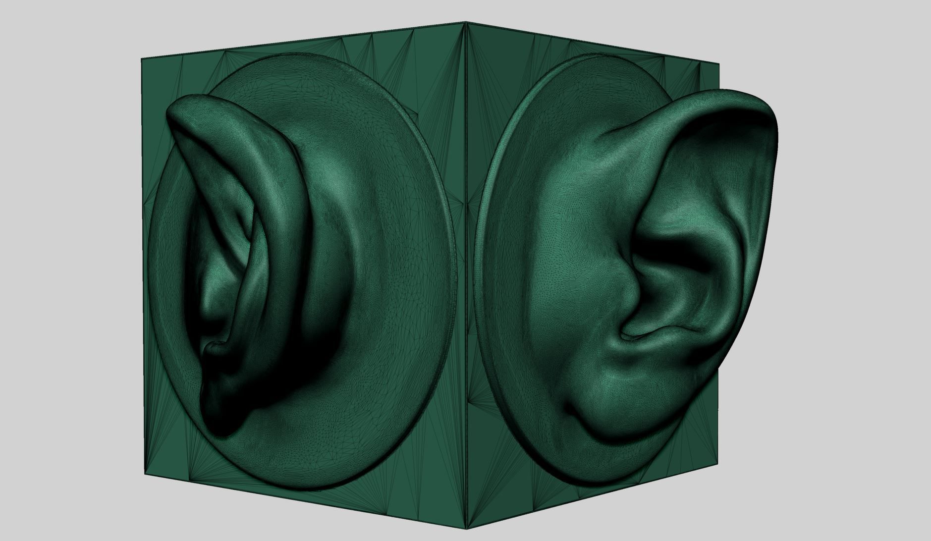 Ear models for 3DPrint 3D print model_9