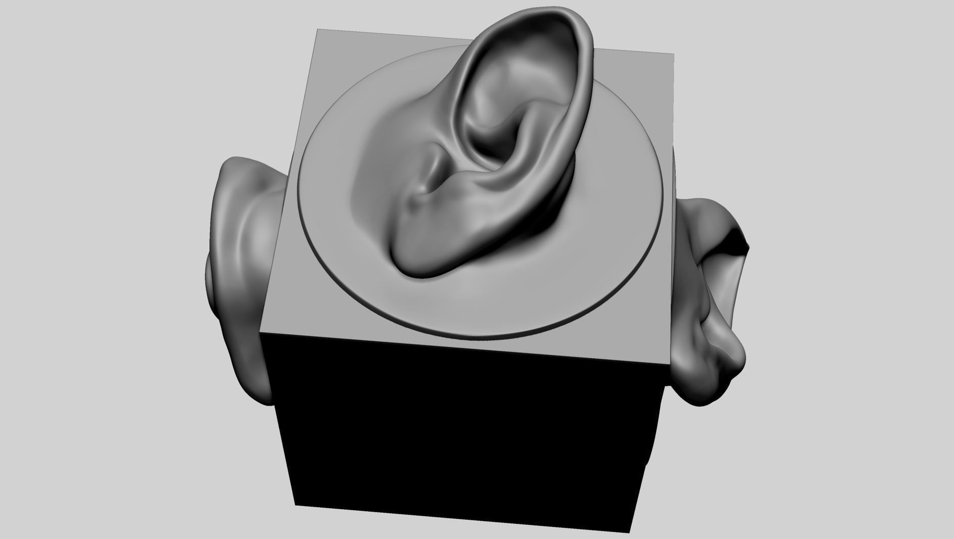 Ear models for 3DPrint 3D print model_7