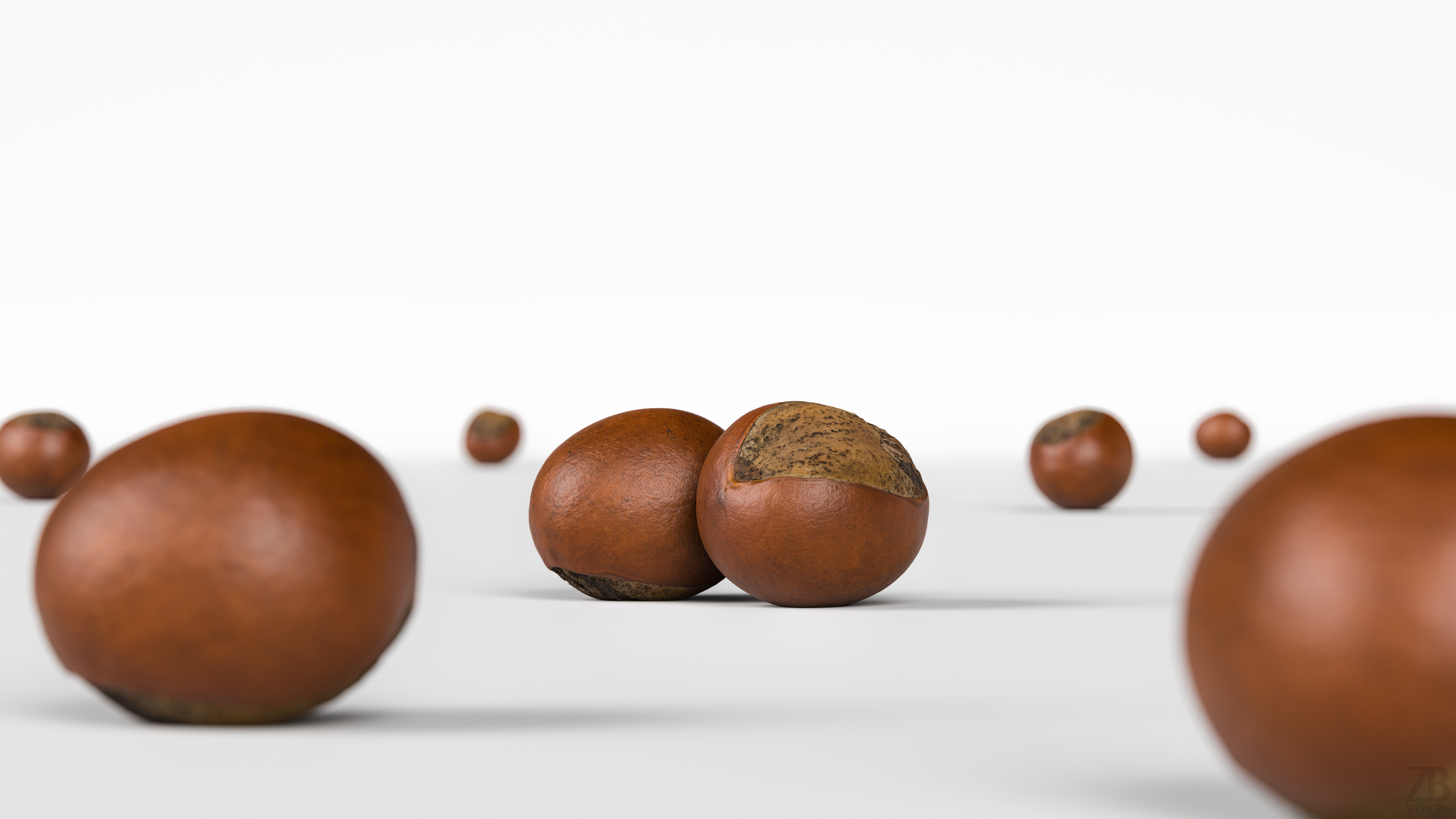 Shea Nut 3D model_1
