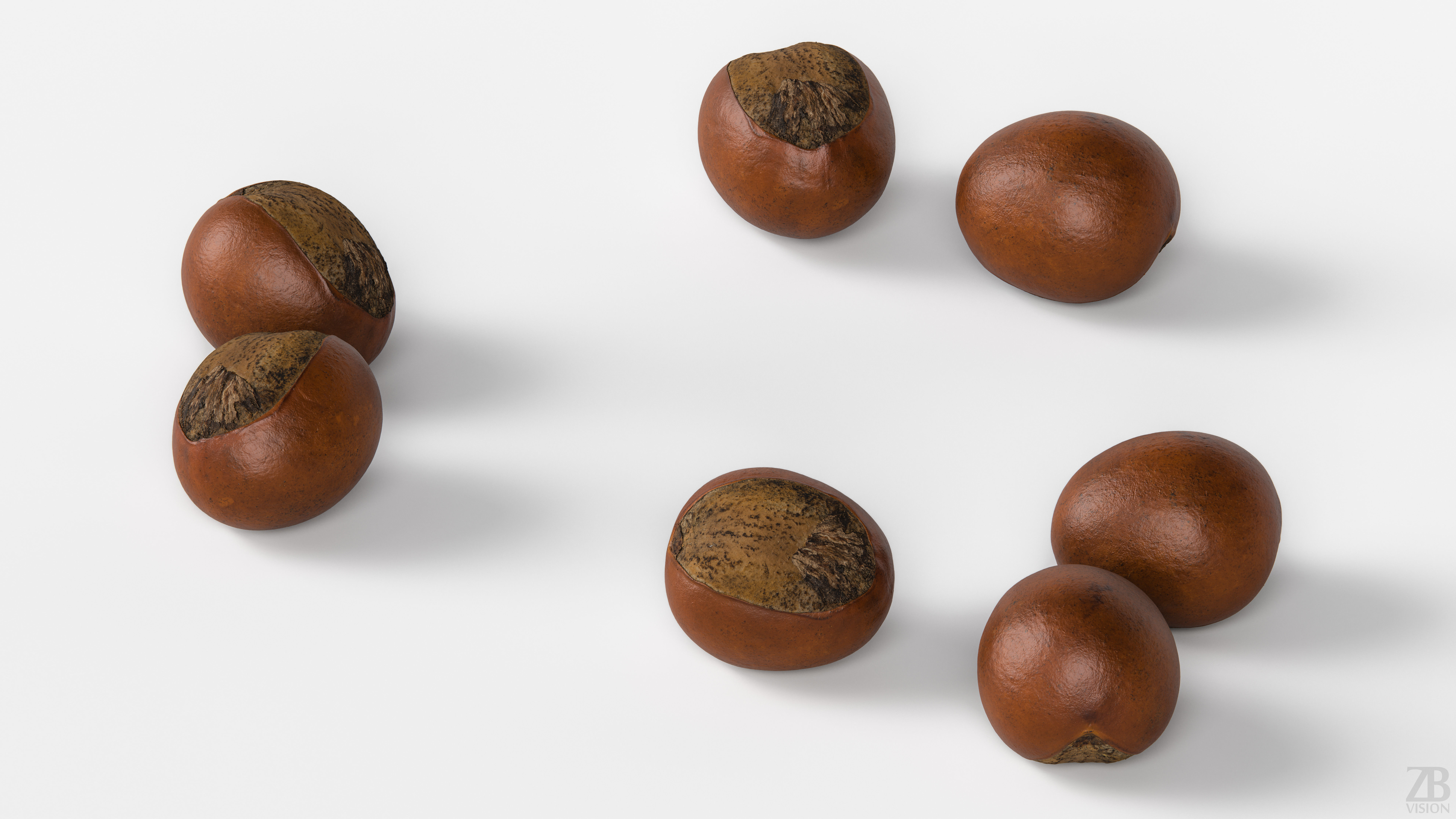 Shea Nut 3D model_2