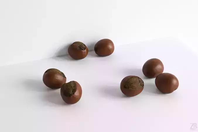 Shea Nut 3D model