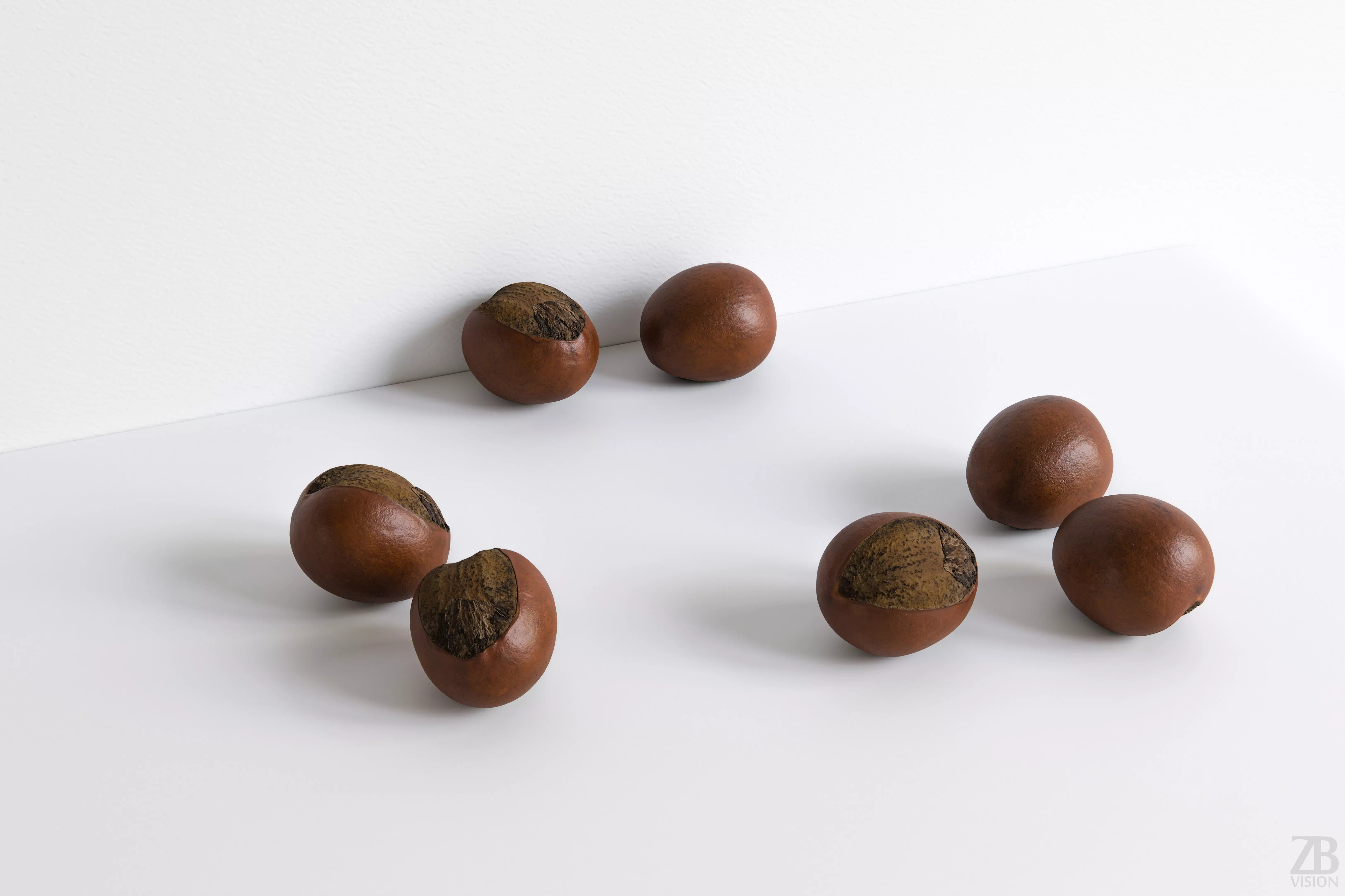 Shea Nut 3D model_0