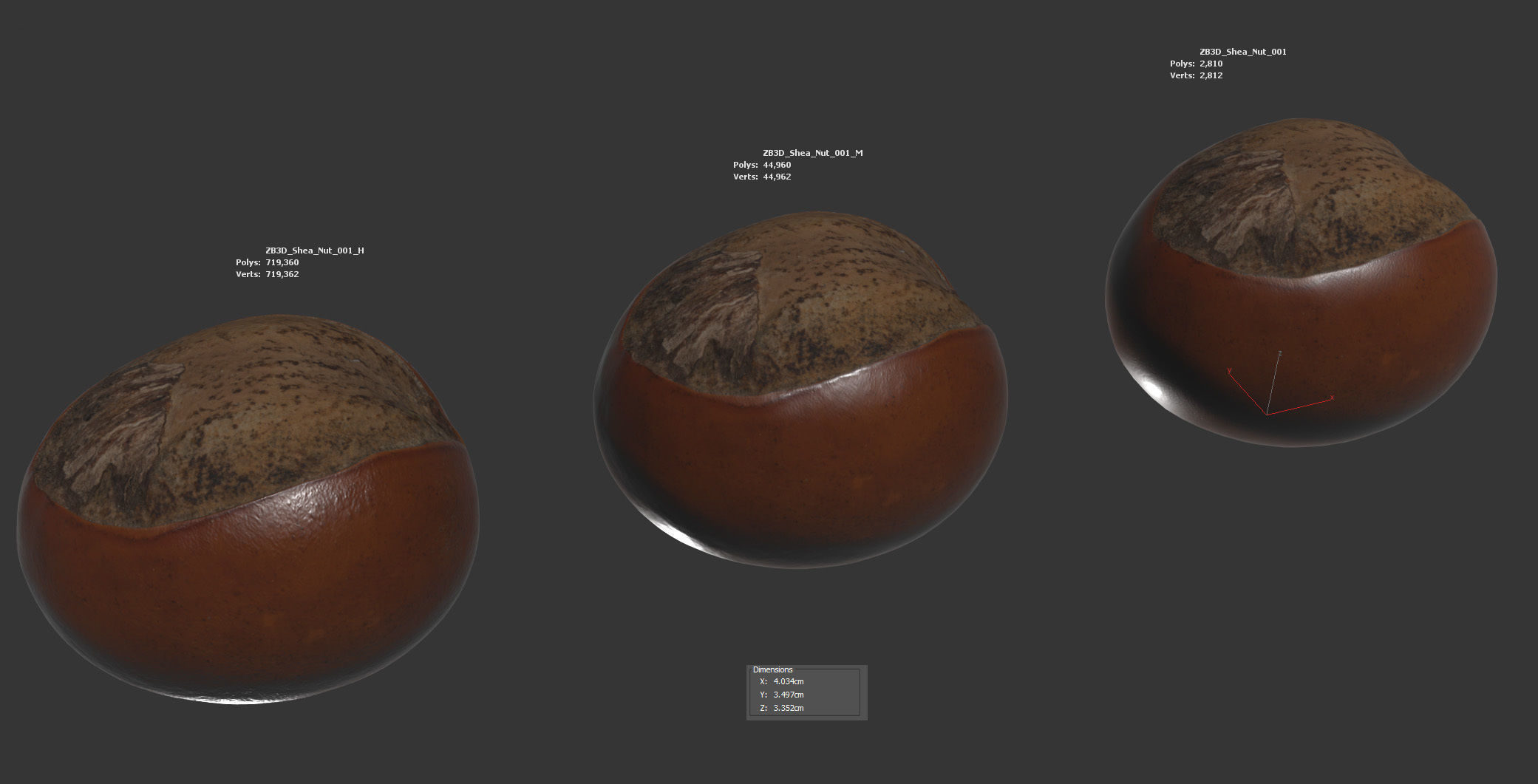Shea Nut 3D model_5
