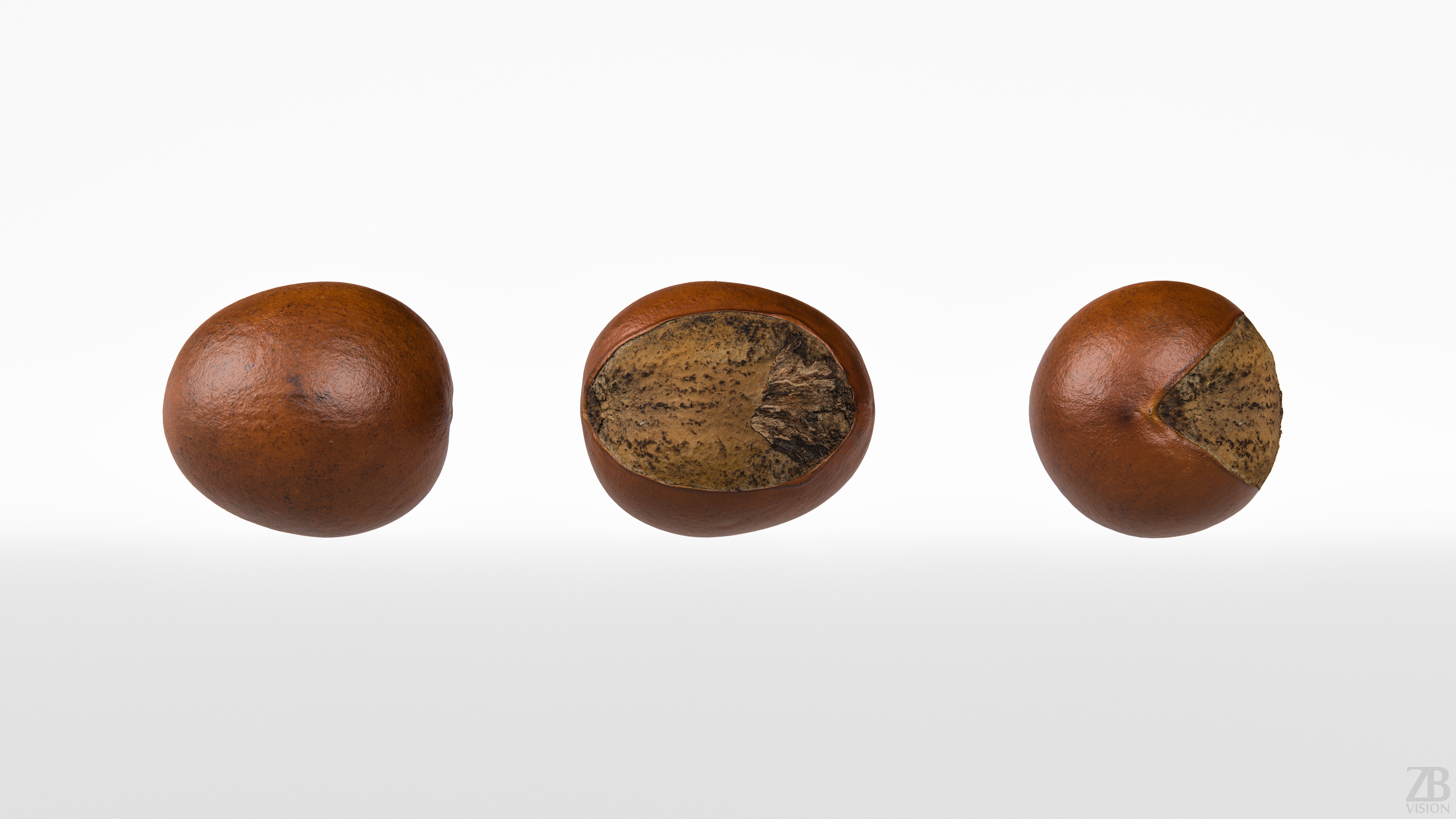 Shea Nut 3D model_4