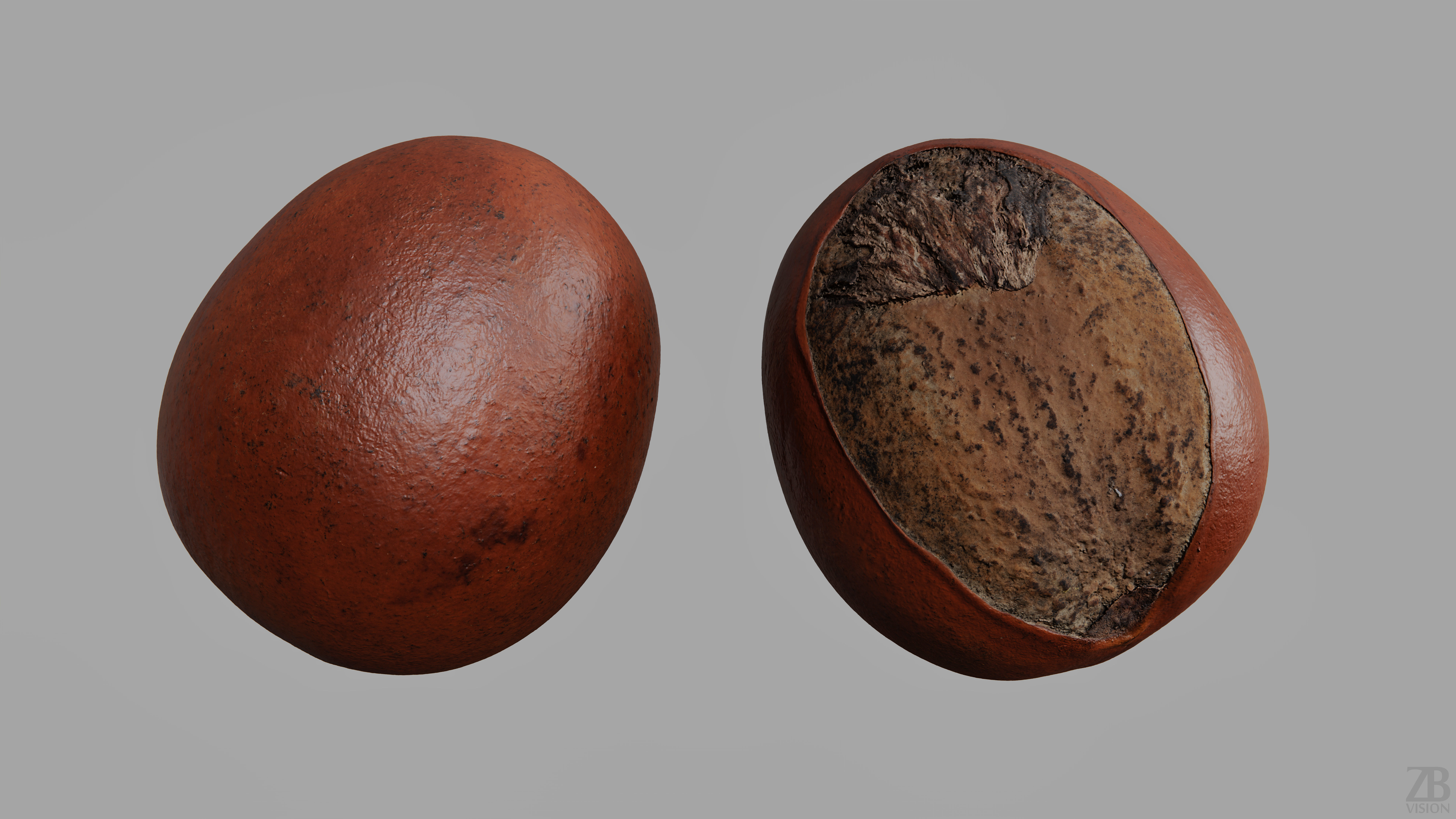 Shea Nut 3D model_9