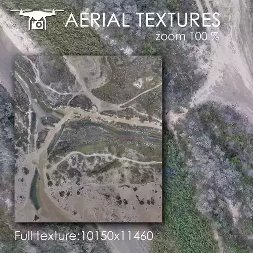 Overgrown sand dunes 332