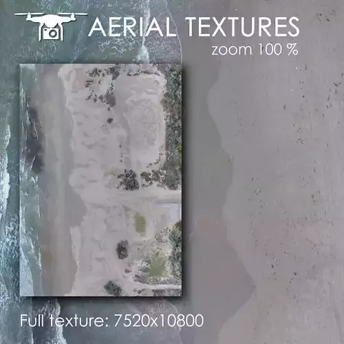 Sandy beach 336 Texture