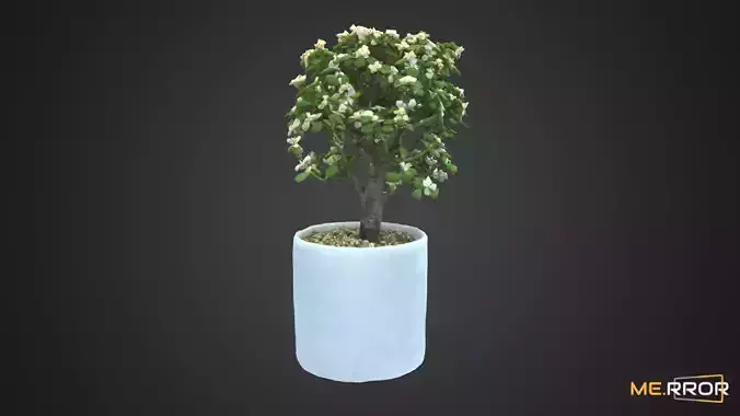 Flower Pot 3D model