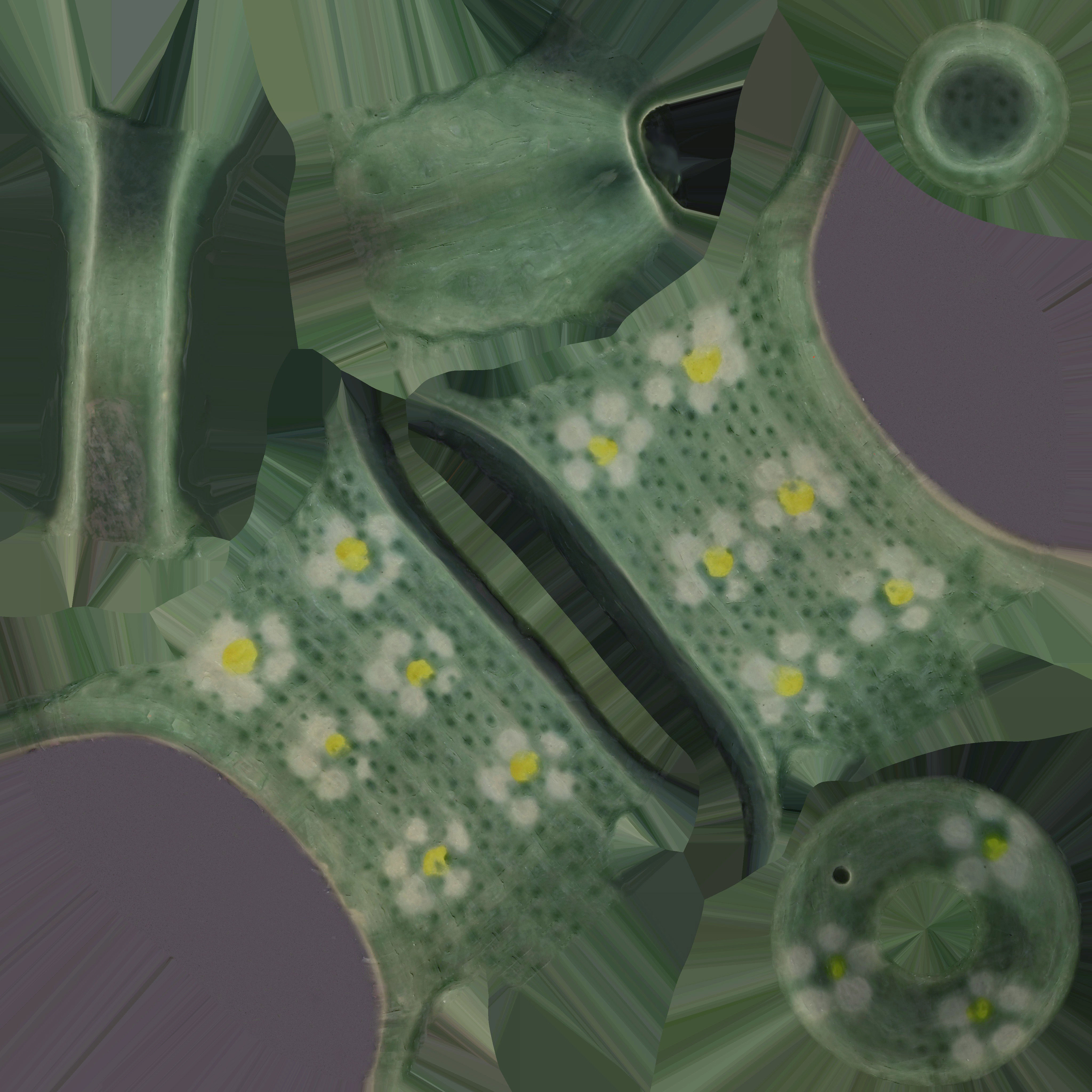 Game Ready Korean Teapot Low-poly 3D model_13