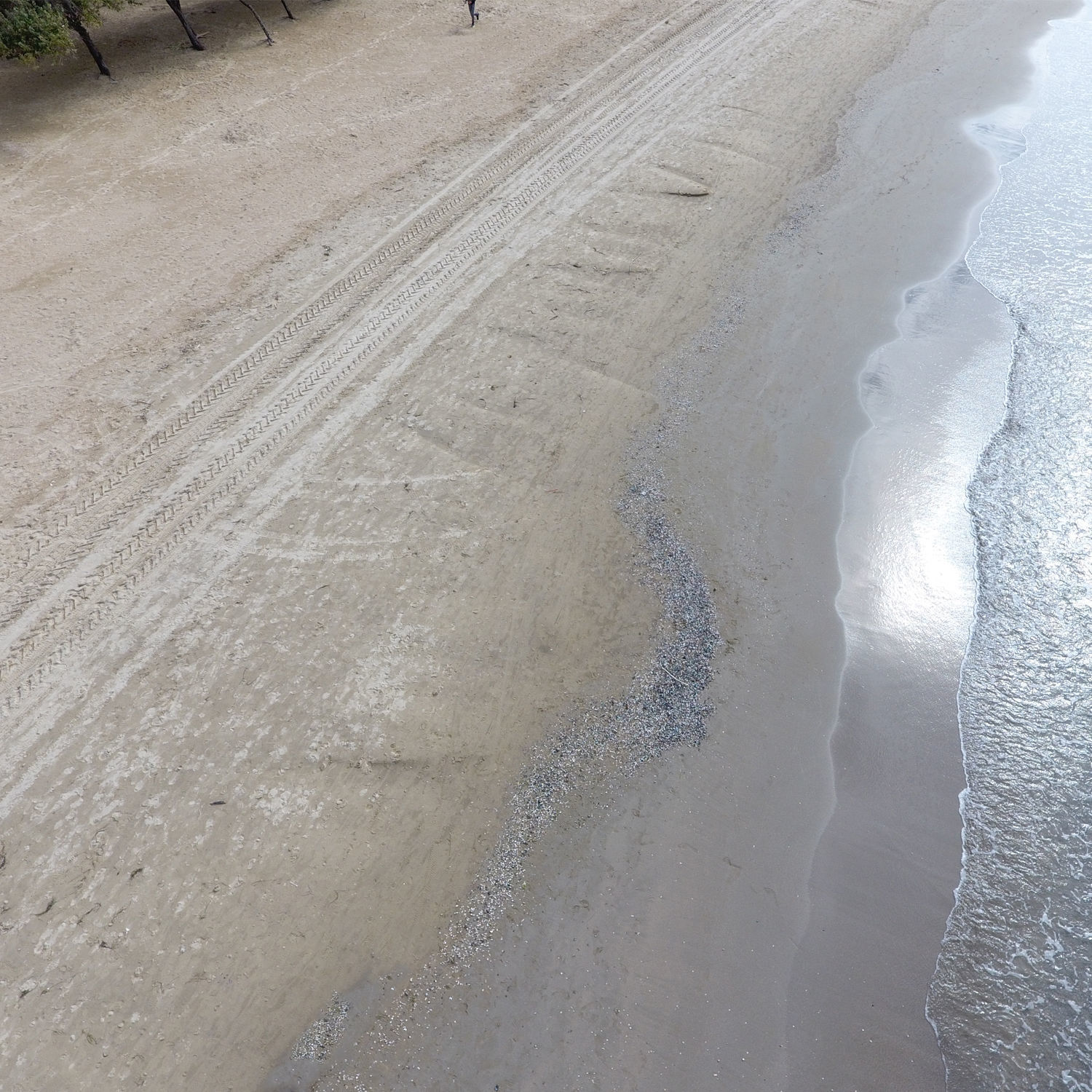 Sandy beach 340 Texture_4