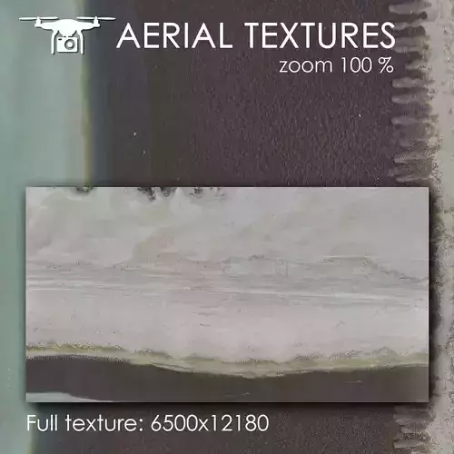 Sandy beach with algae 341