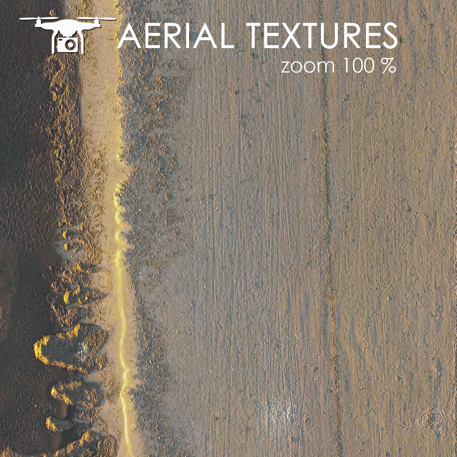 Sandy beach with seaweed 342 Texture_2