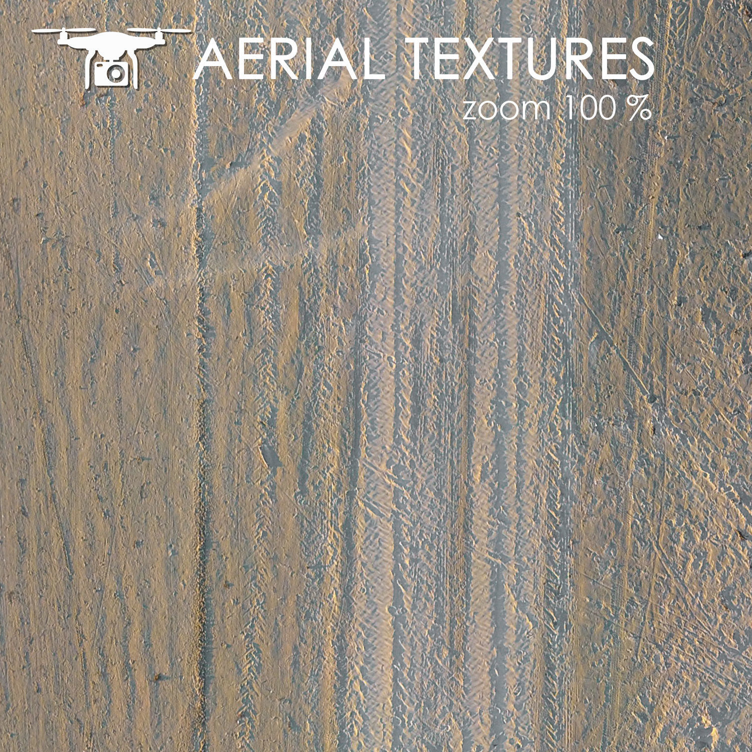 Sandy beach with seaweed 342 Texture_1