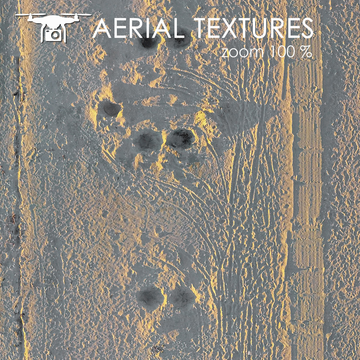 Sandy beach with seaweed 342 Texture_3