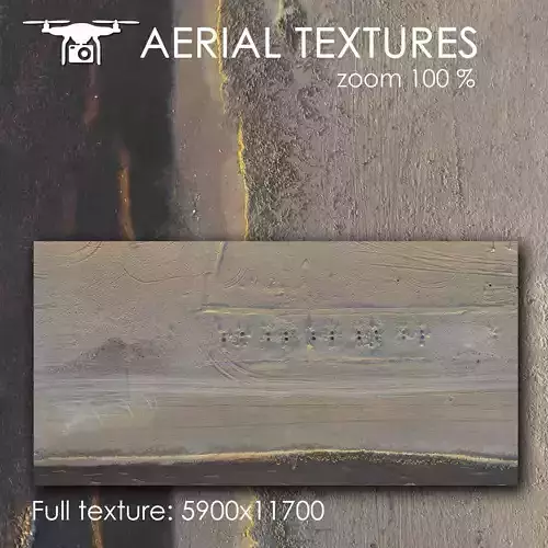 Sandy beach with seaweed 342