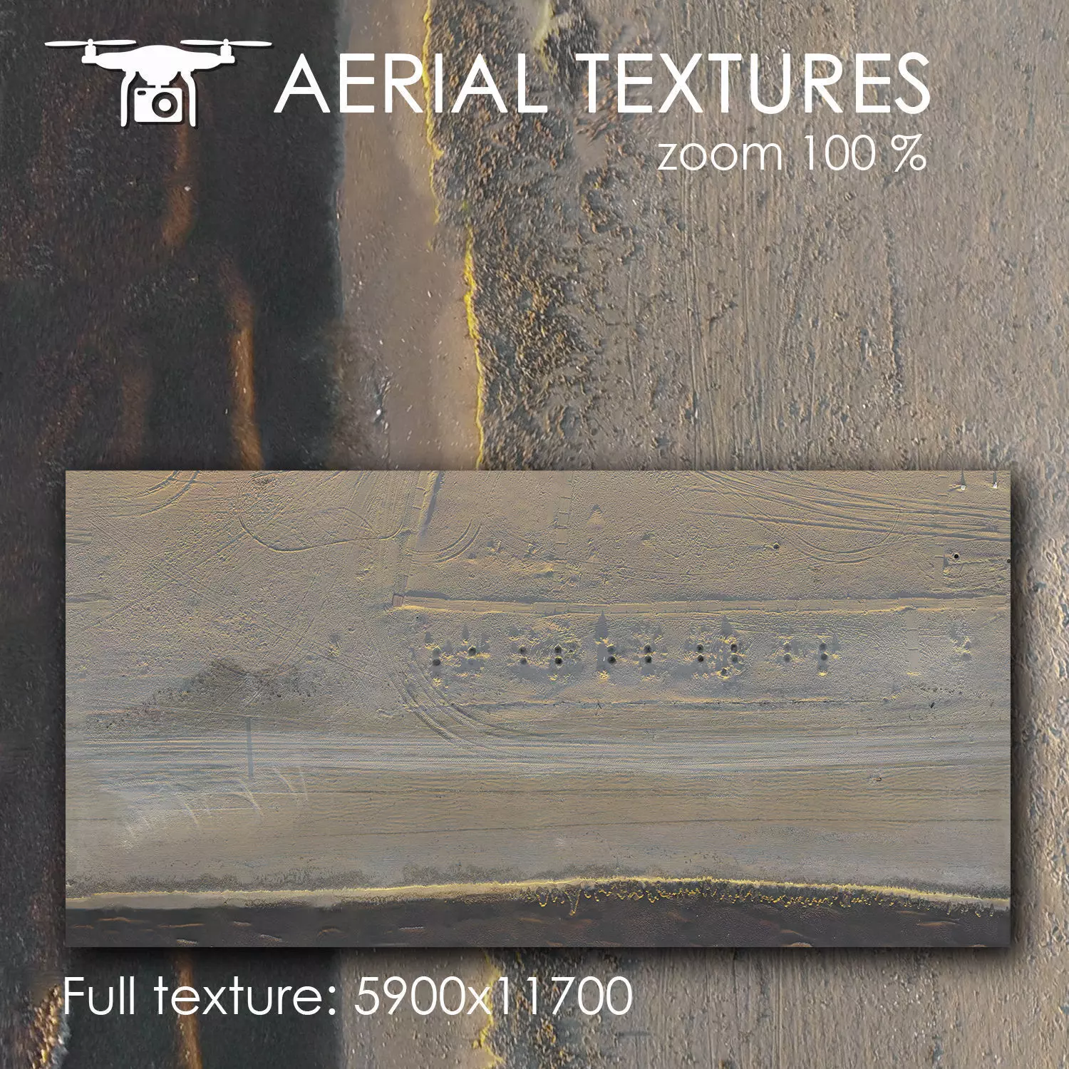 Sandy beach with seaweed 342 Texture_0