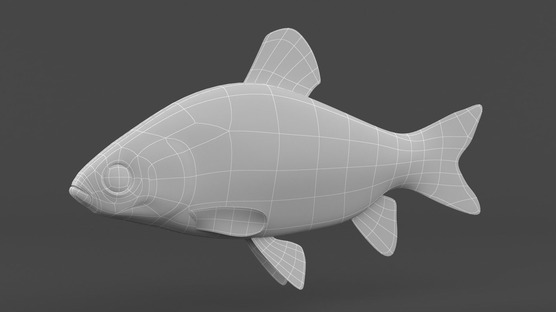 Freshwater Fish 3D model_9