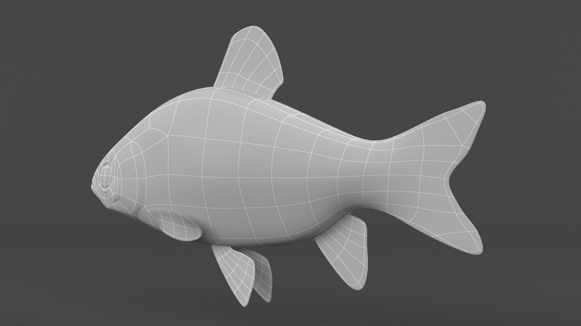 Freshwater Fish 3D model_7