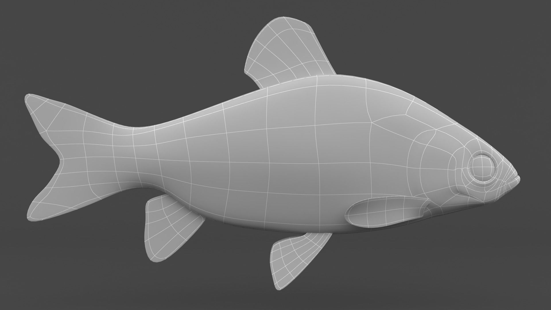 Freshwater Fish 3D model_5
