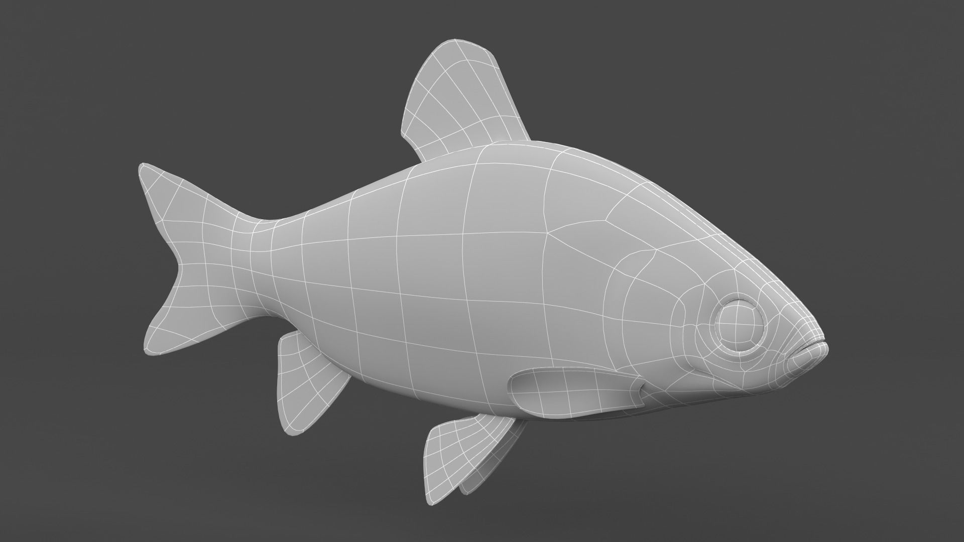 Freshwater Fish 3D model_6