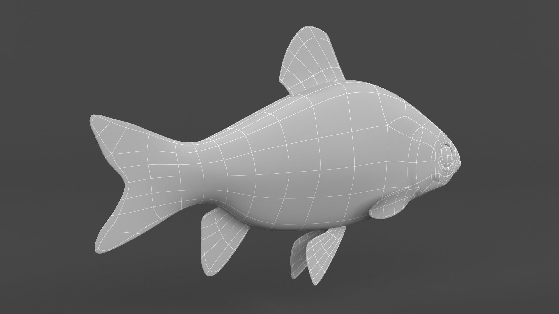 Freshwater Fish 3D model_8