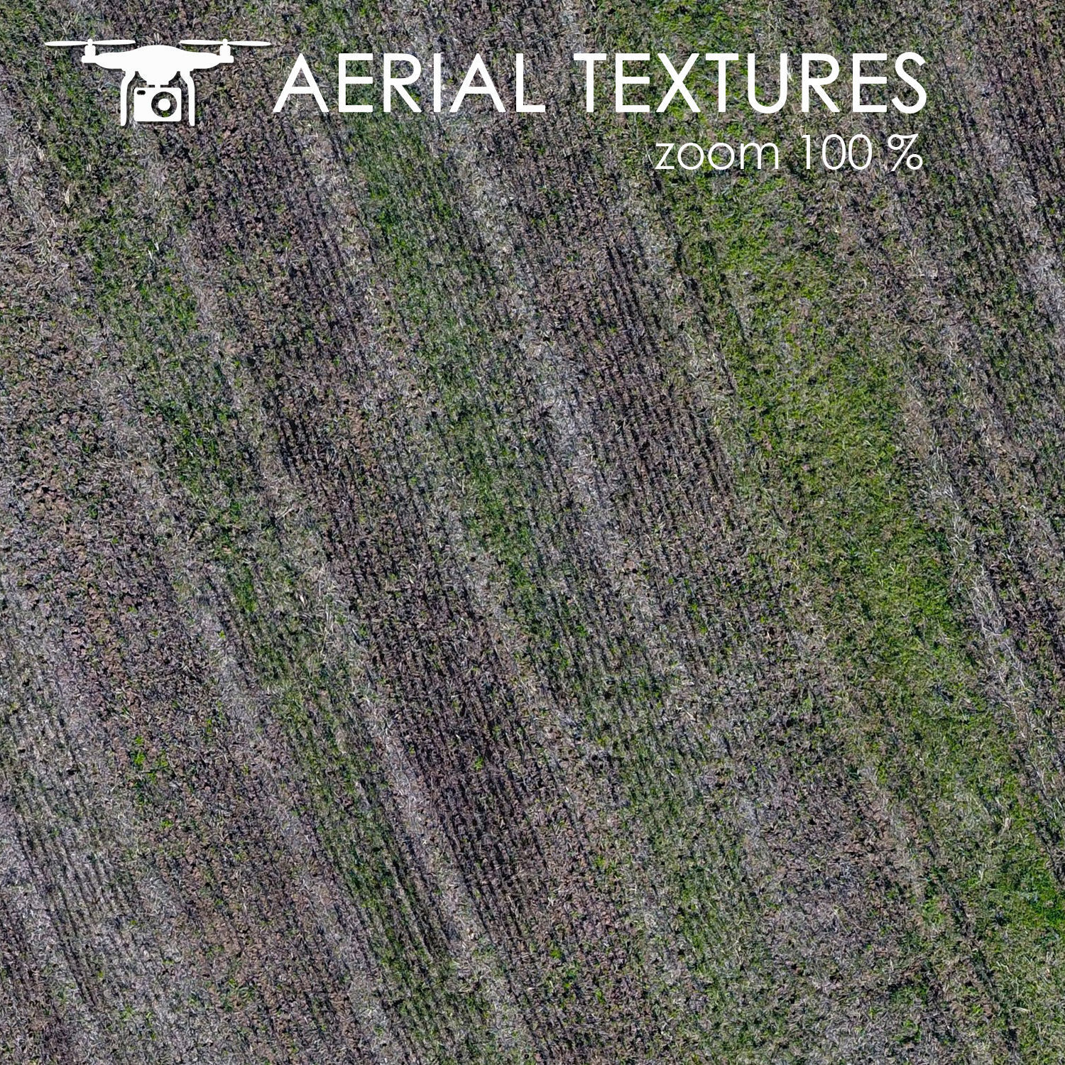 Field 347 Texture_1