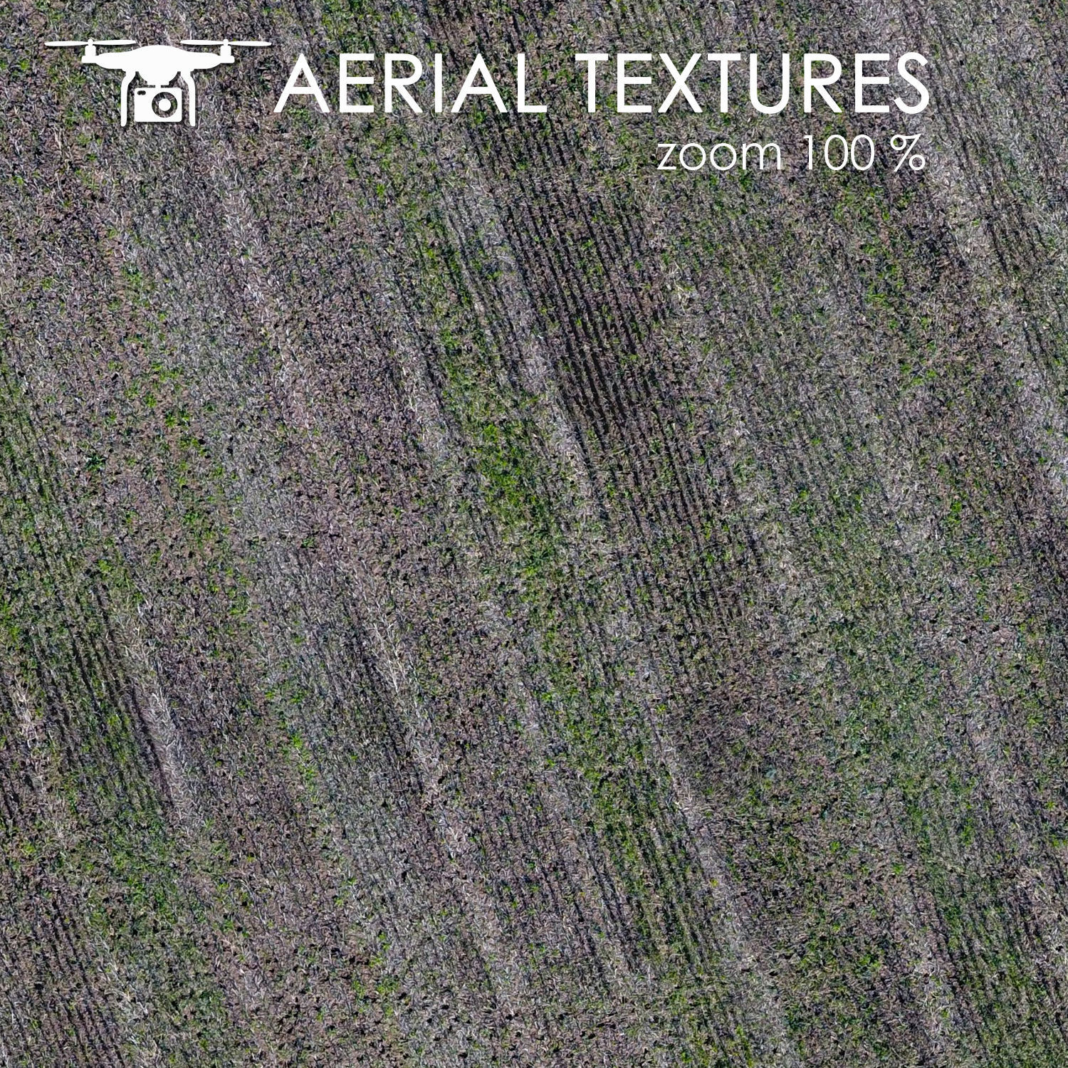 Field 347 Texture_2