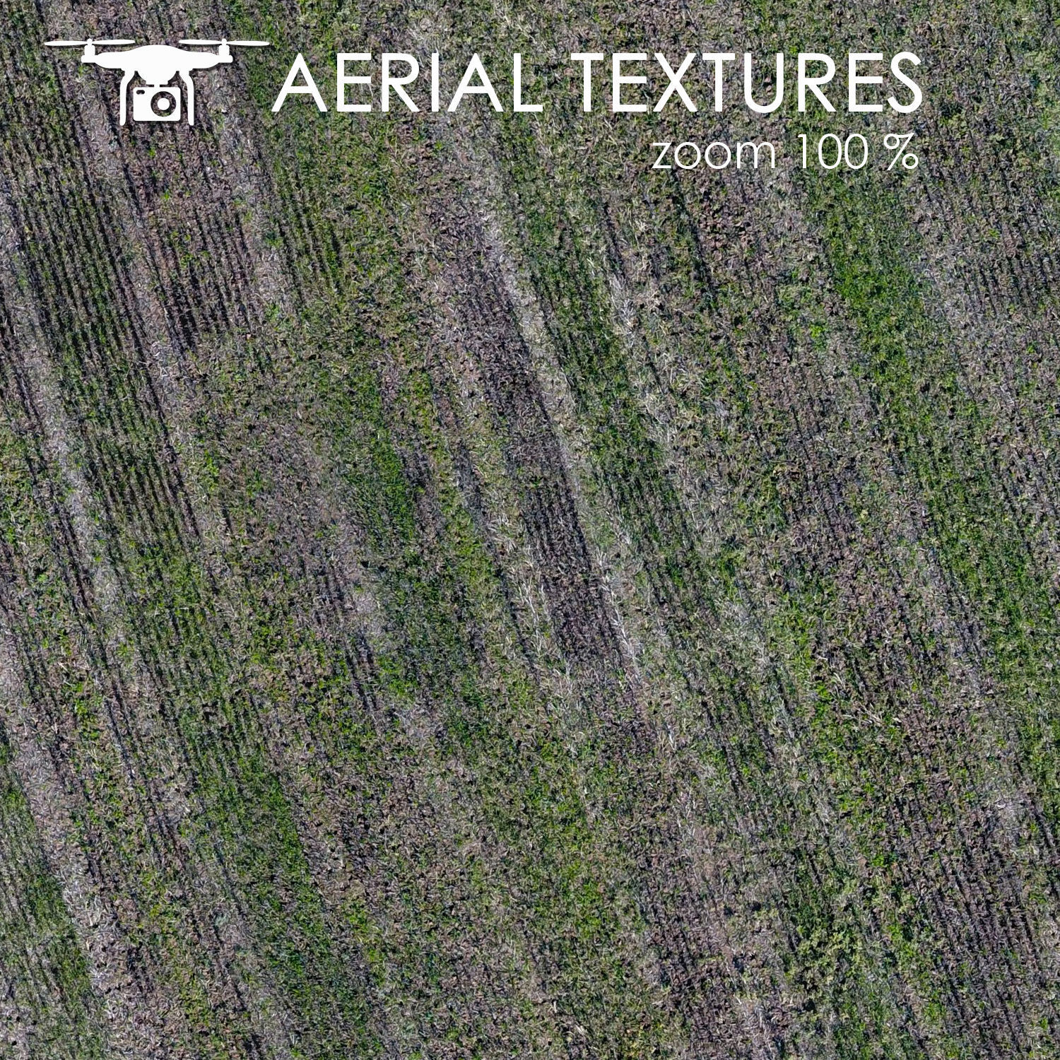 Field 347 Texture_3