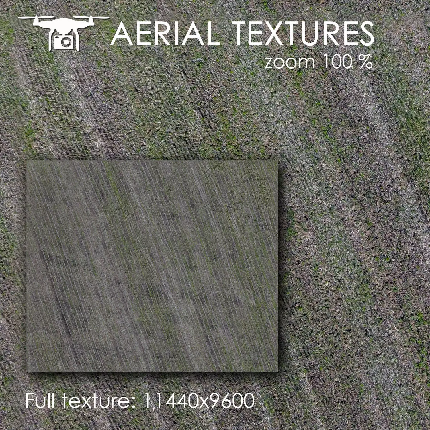 Field 347 Texture_0