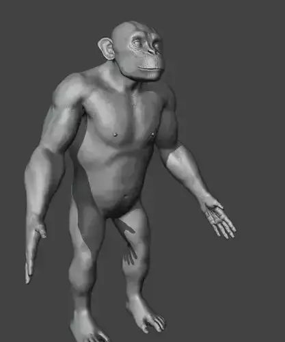 chimpanzee monkey Free 3D model