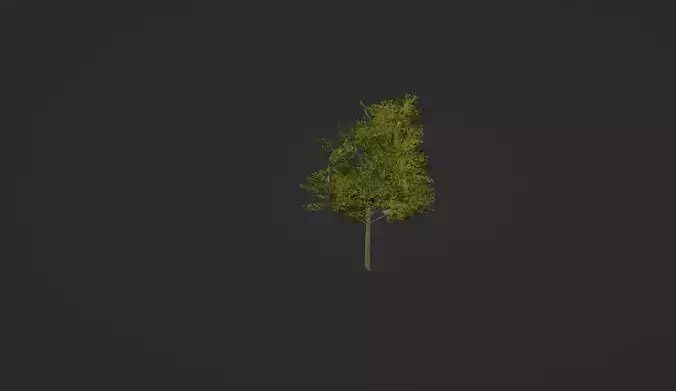 Tree lp Free 3D model
