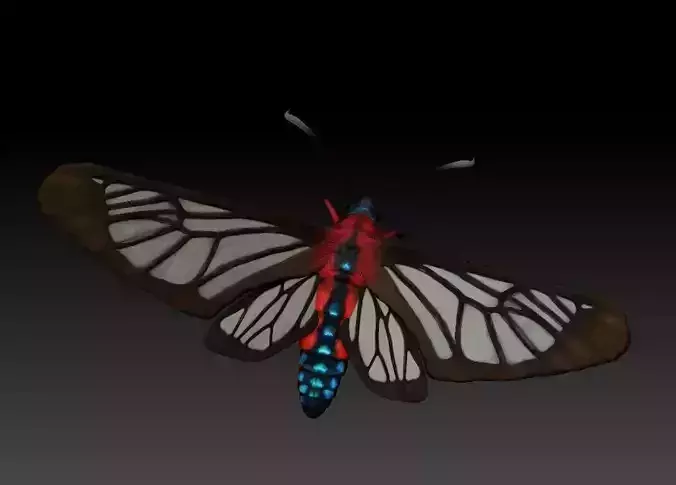 Moths Cosmosoma myrodora 3D print model