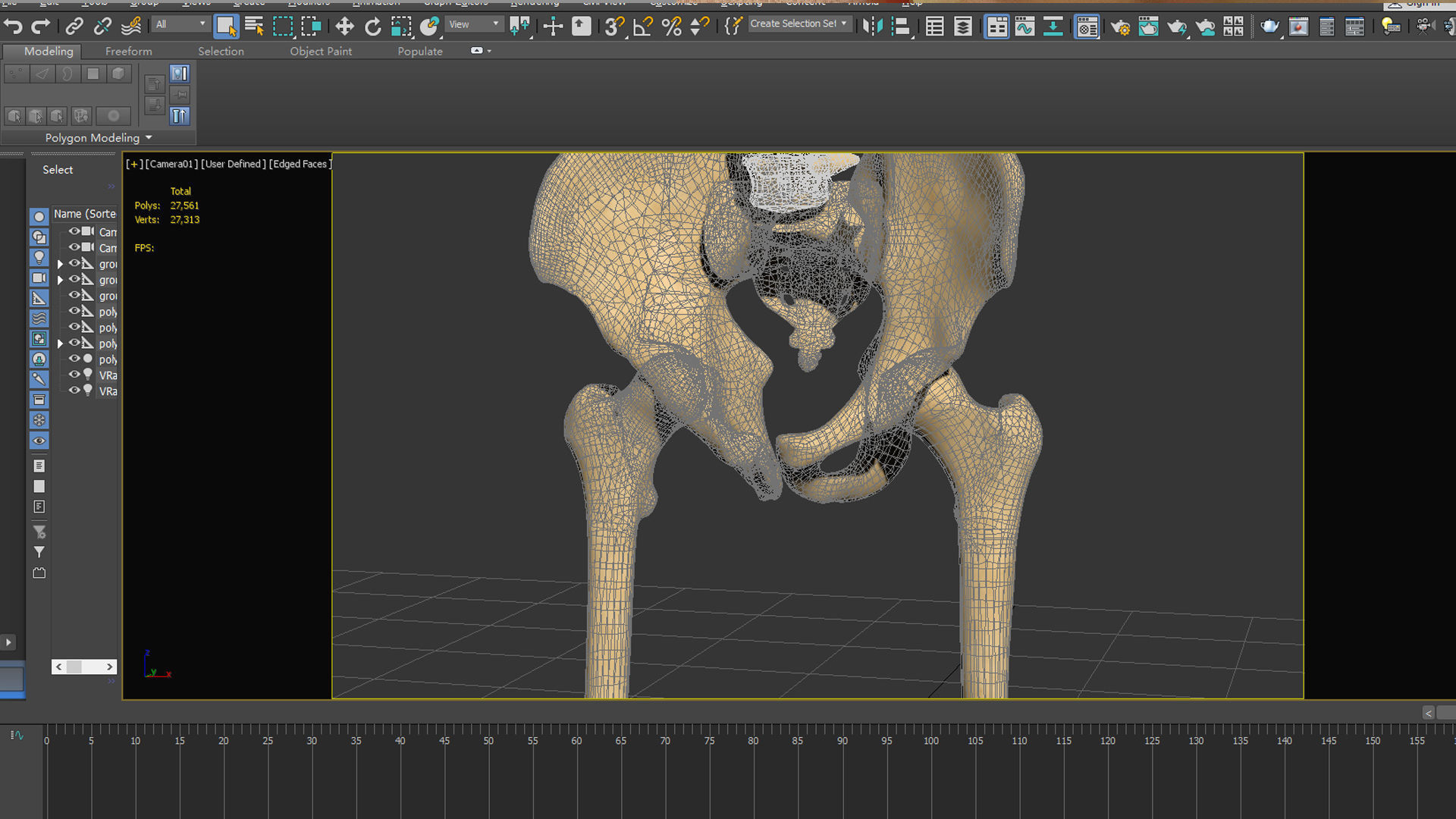 Hip femoral head human organs skeleton human bodypelvis 3D model_6