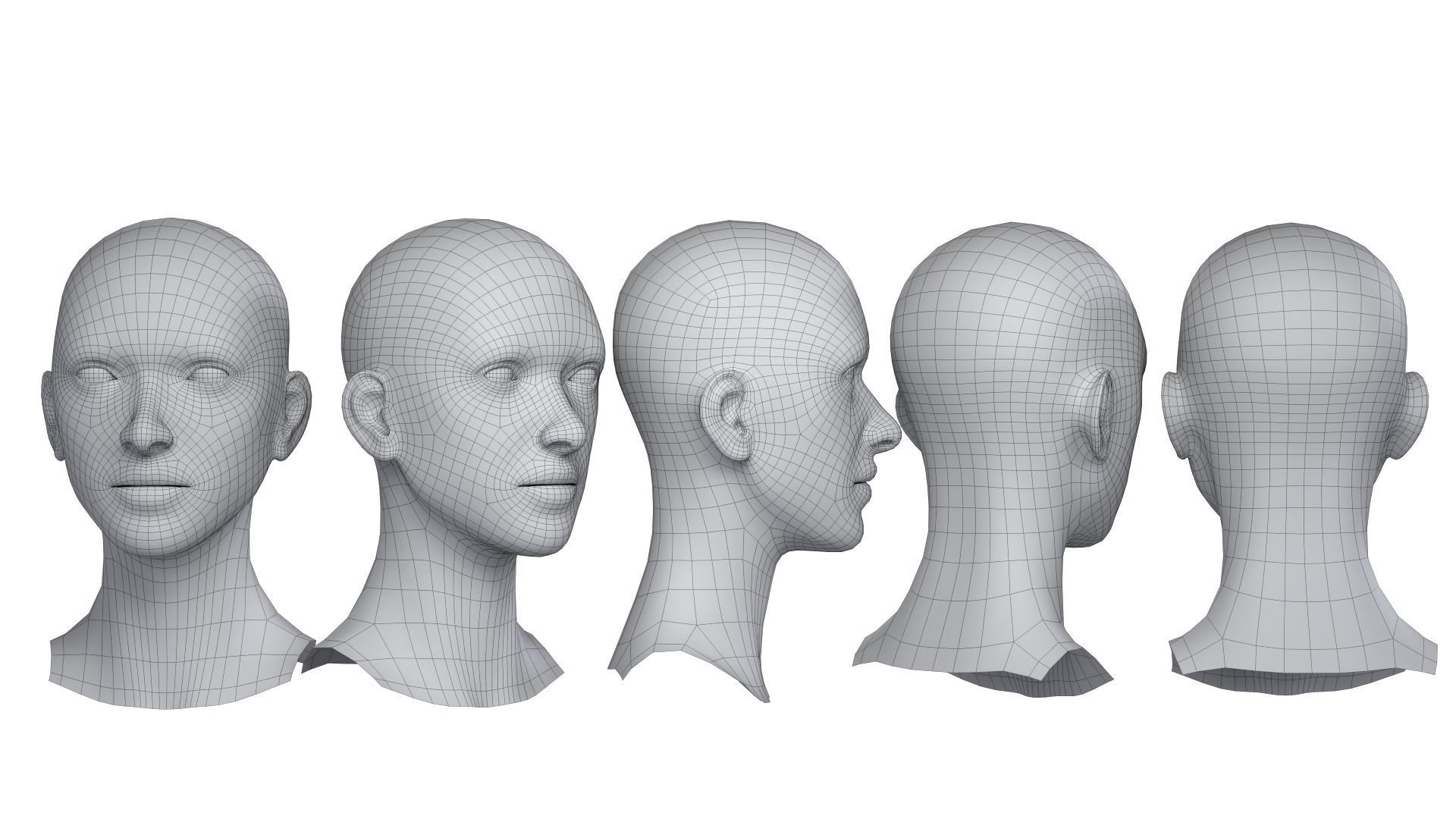 Female Basemesh Head 3D model_2