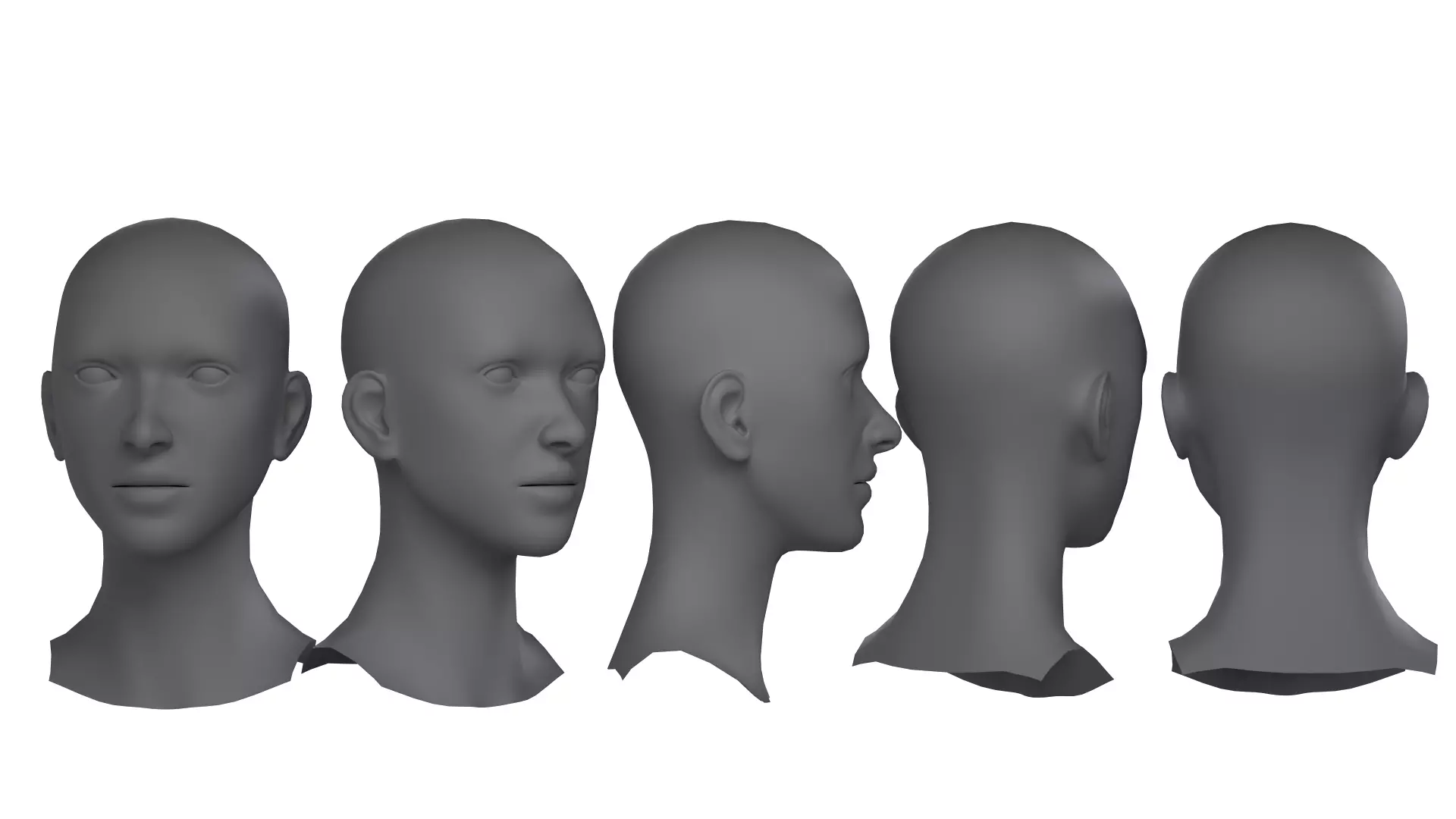 Female Basemesh Head 3D model_0