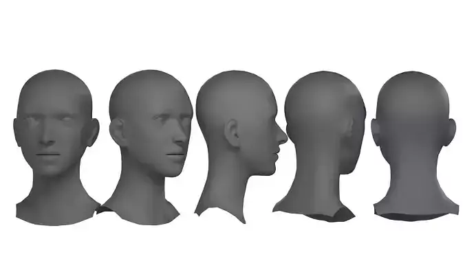 Female Basemesh Head 3D model