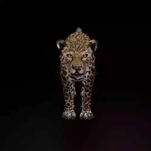 Jaguar  3D model Blender