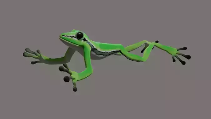 Poison Frog- Green tree frog 3D model