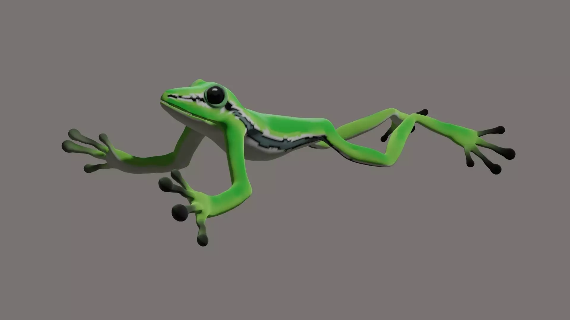 Poison Frog- Green tree frog 3D model