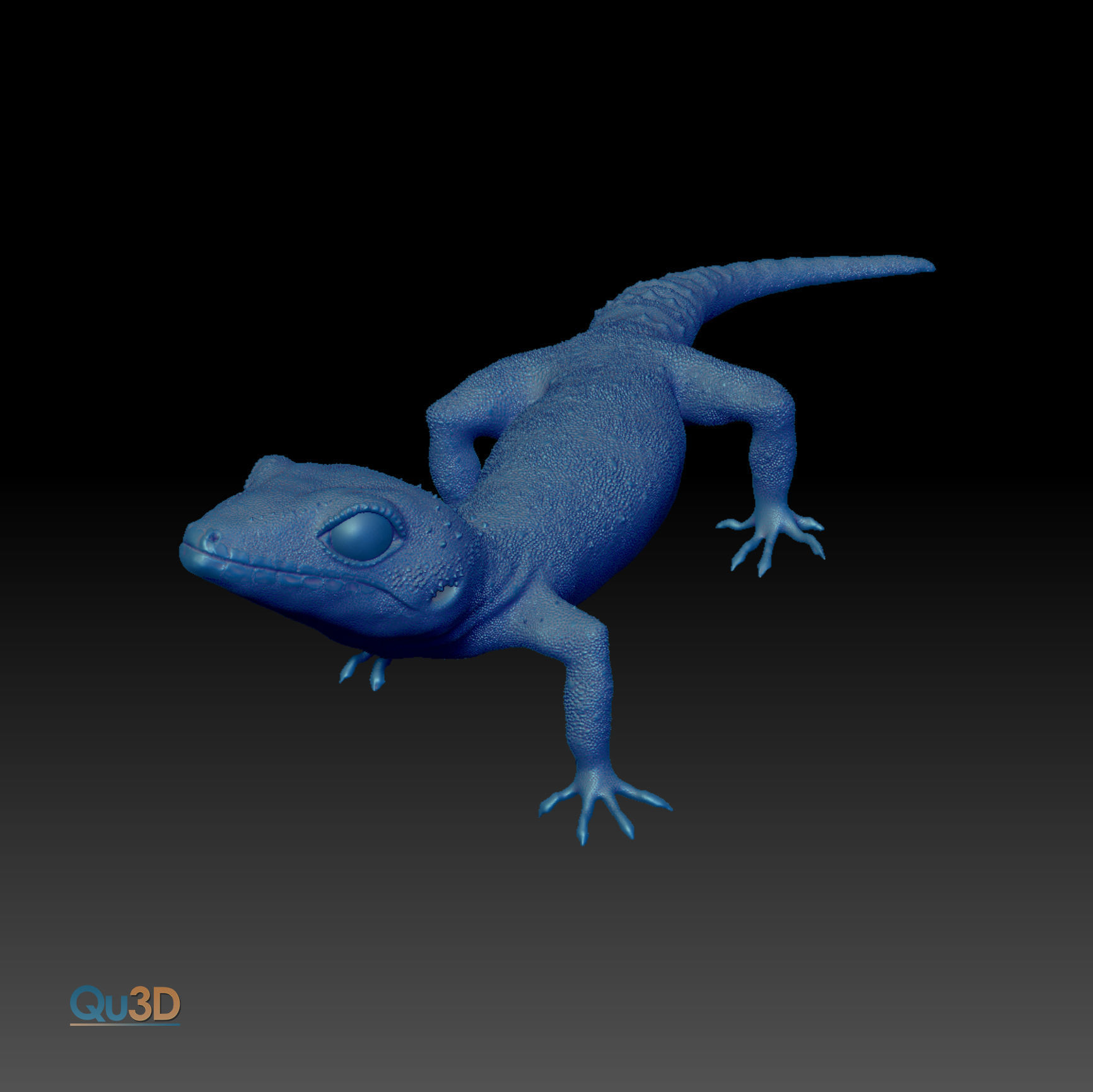 Chinese Cave Gecko - Goniurosaurus hainanensis 3D model_1