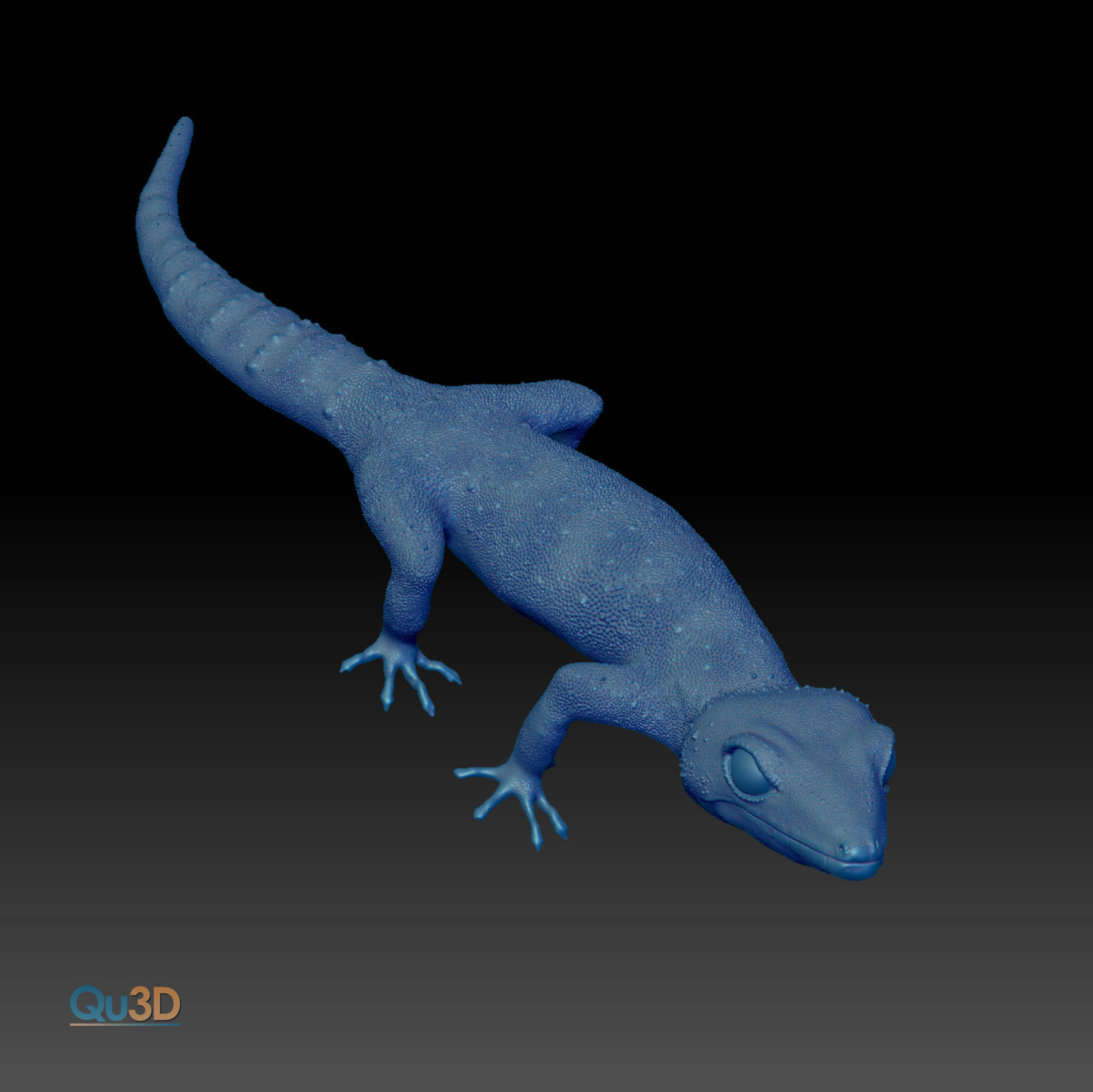 Chinese Cave Gecko - Goniurosaurus hainanensis 3D model_6
