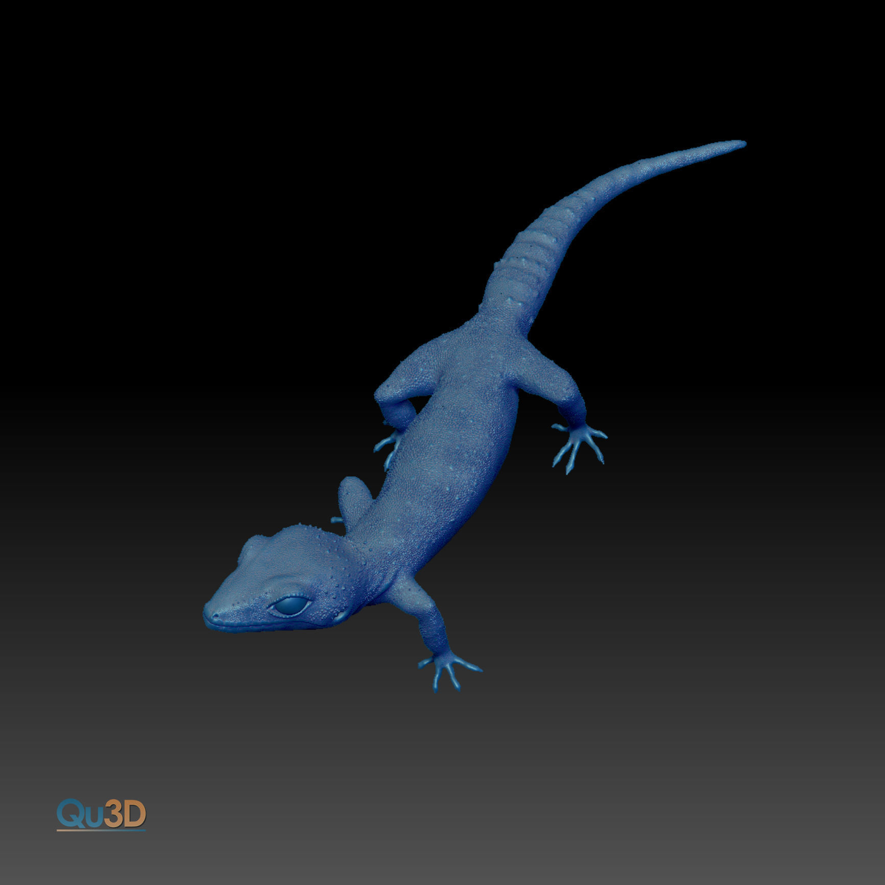 Chinese Cave Gecko - Goniurosaurus hainanensis 3D model_3