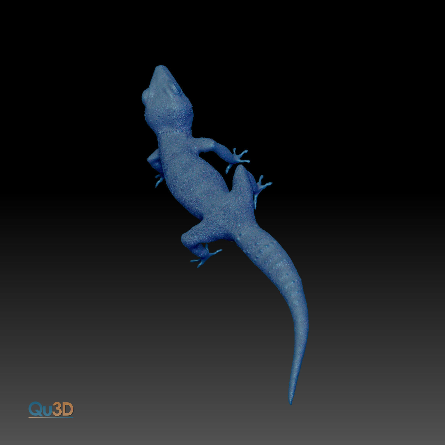Chinese Cave Gecko - Goniurosaurus hainanensis 3D model_5