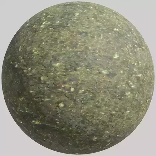 Forest path - 4K PBR BRDF material